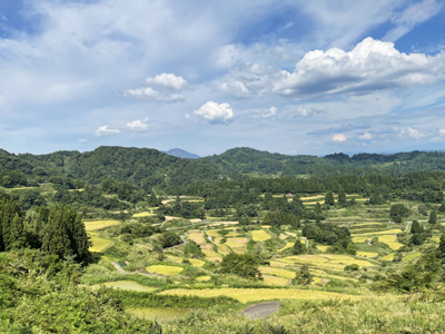 星峠の棚田