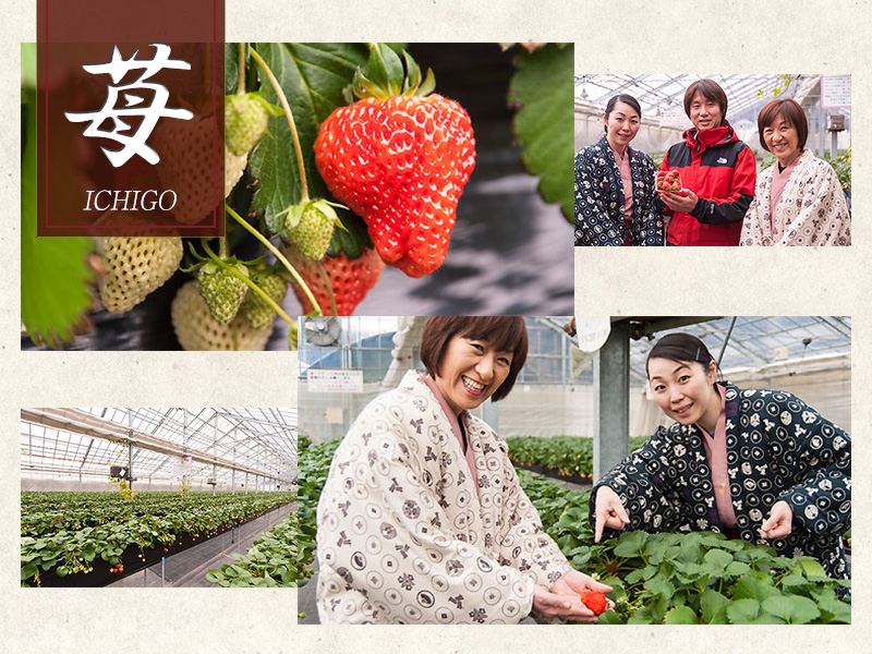 Yuzawa Strawberry Village