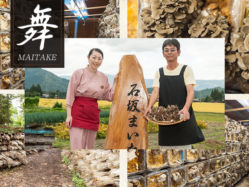 Ishizaka Maitake Mushrooms