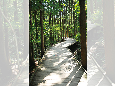 Naeba Independence Boardwalk