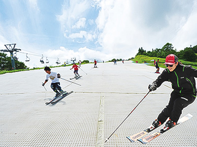 GALA Summer Park
