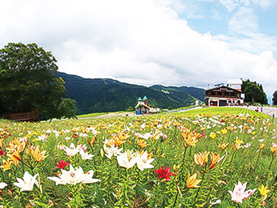 湯沢高原アルプの里