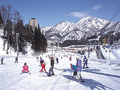 NASPA Ski Gardens