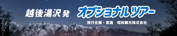 オプショナルツアー
