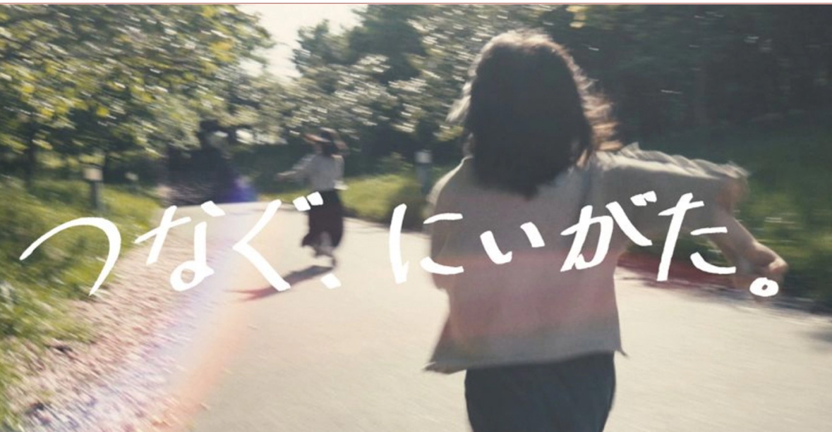 スタッフおすすめプラン