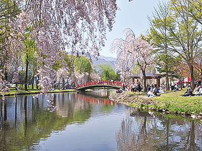 湯沢中央公園